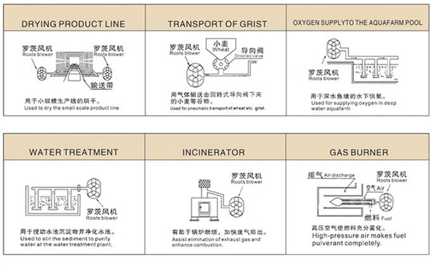 羅茨鼓大香蕉视频网站在中央供料係統中重要嗎？